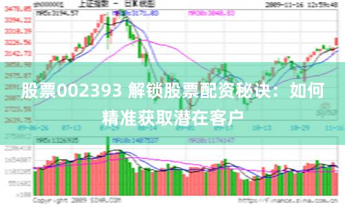 股票002393 解锁股票配资秘诀：如何精准获取潜在客户