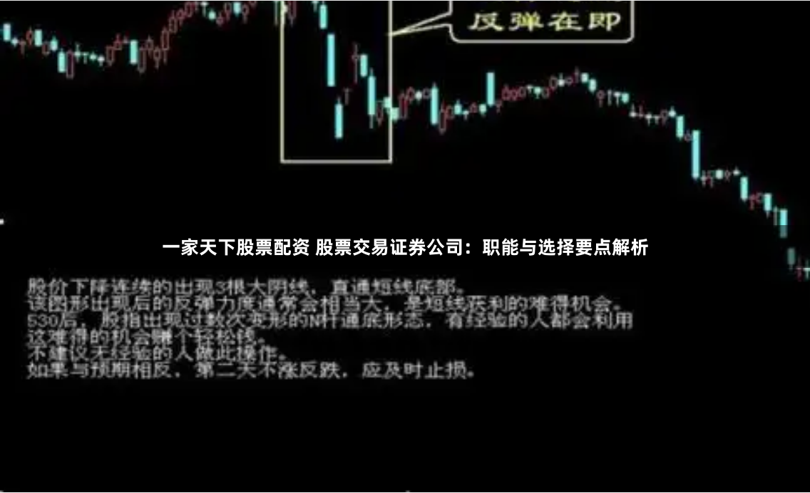 一家天下股票配资 股票交易证券公司:职能与选择要点解析